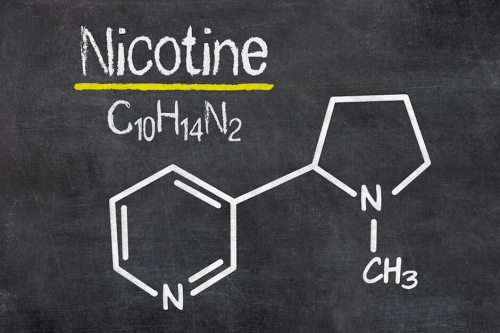 من يقوم بتركيب النيكوتين كيميائيا؟